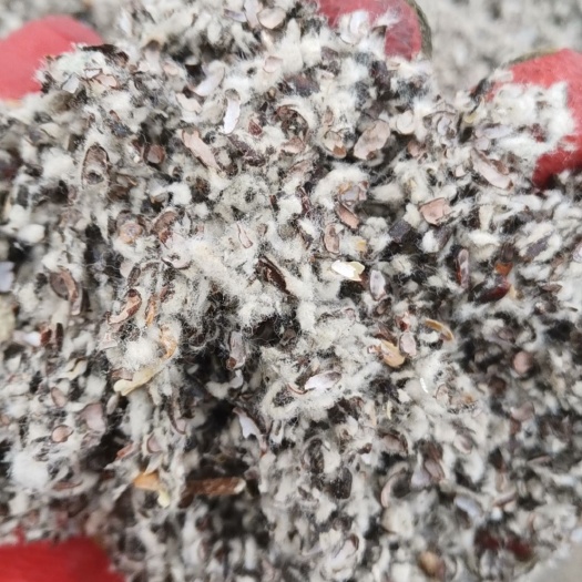 重庆市优质棉壳常年向重庆市秀山酉阳黔江彭水优价发货