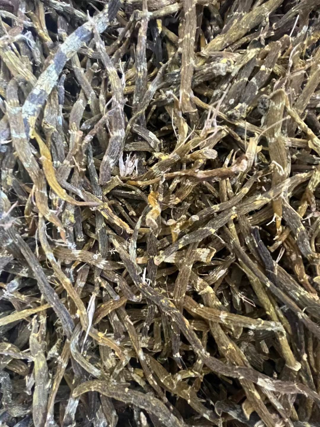 珍虫石斛干条