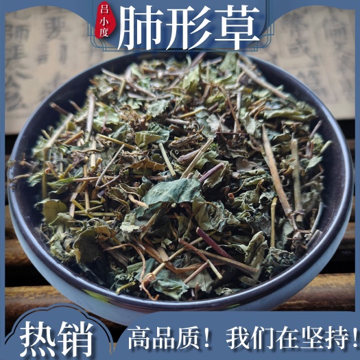 安国市肺形草胡地莲穿藤金兰花新鲜干货非蝴蝶草金交杯中药材石板肯