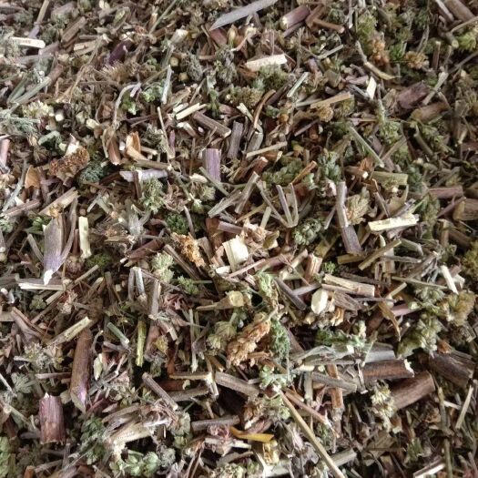 安国市荆芥 1 公分切段带穗！刀工好颜色绿！欢迎采购，量大！