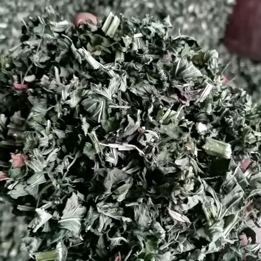 唐河县益母草  大货供应 品质保证