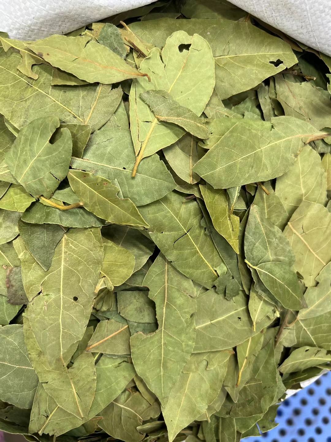 香叶月桂叶家用商用无硫熏香料调料超市供销精选特绿大片干货