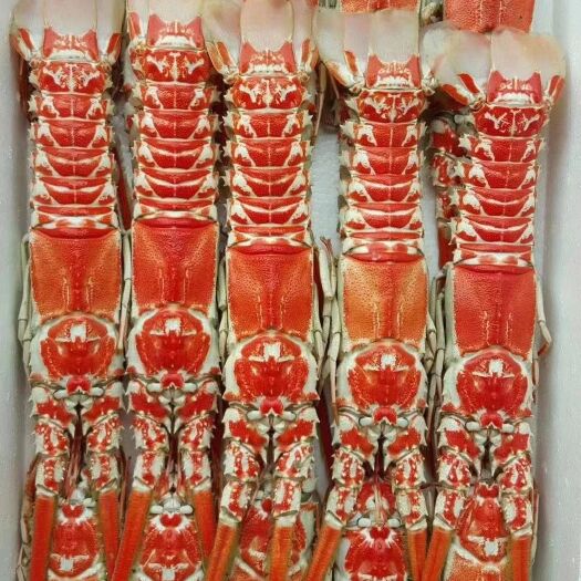 北海红龙虾，龙虾