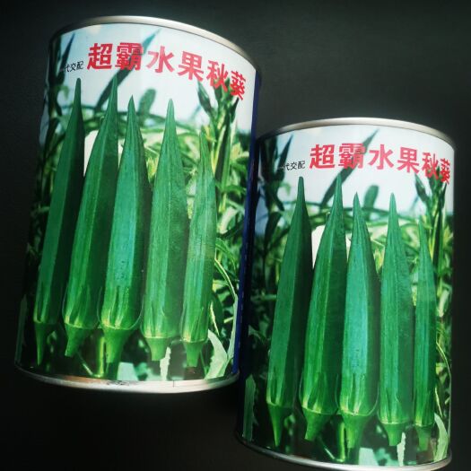莱阳市日本超霸水果秋葵种子，阴天不易挂花，不发黑。