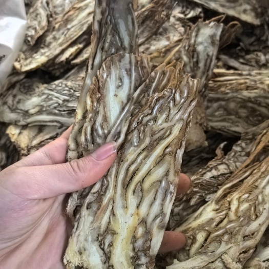 普宁市【永康元药业】中药材全当归压片芯片须少不多的选货