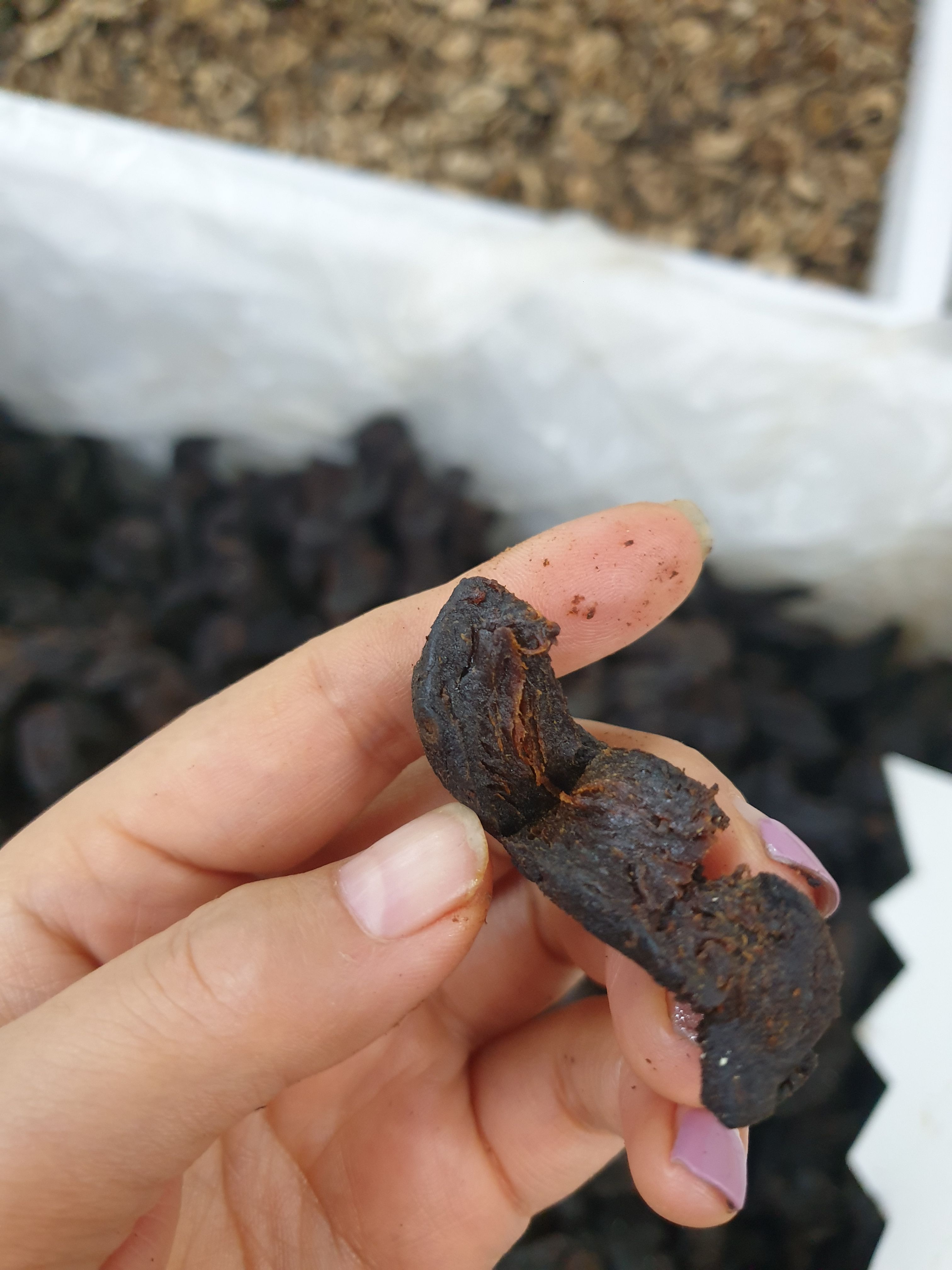 九制黄精，即食九蒸九晒制黄精整个大黄精批发零售（量大从优）