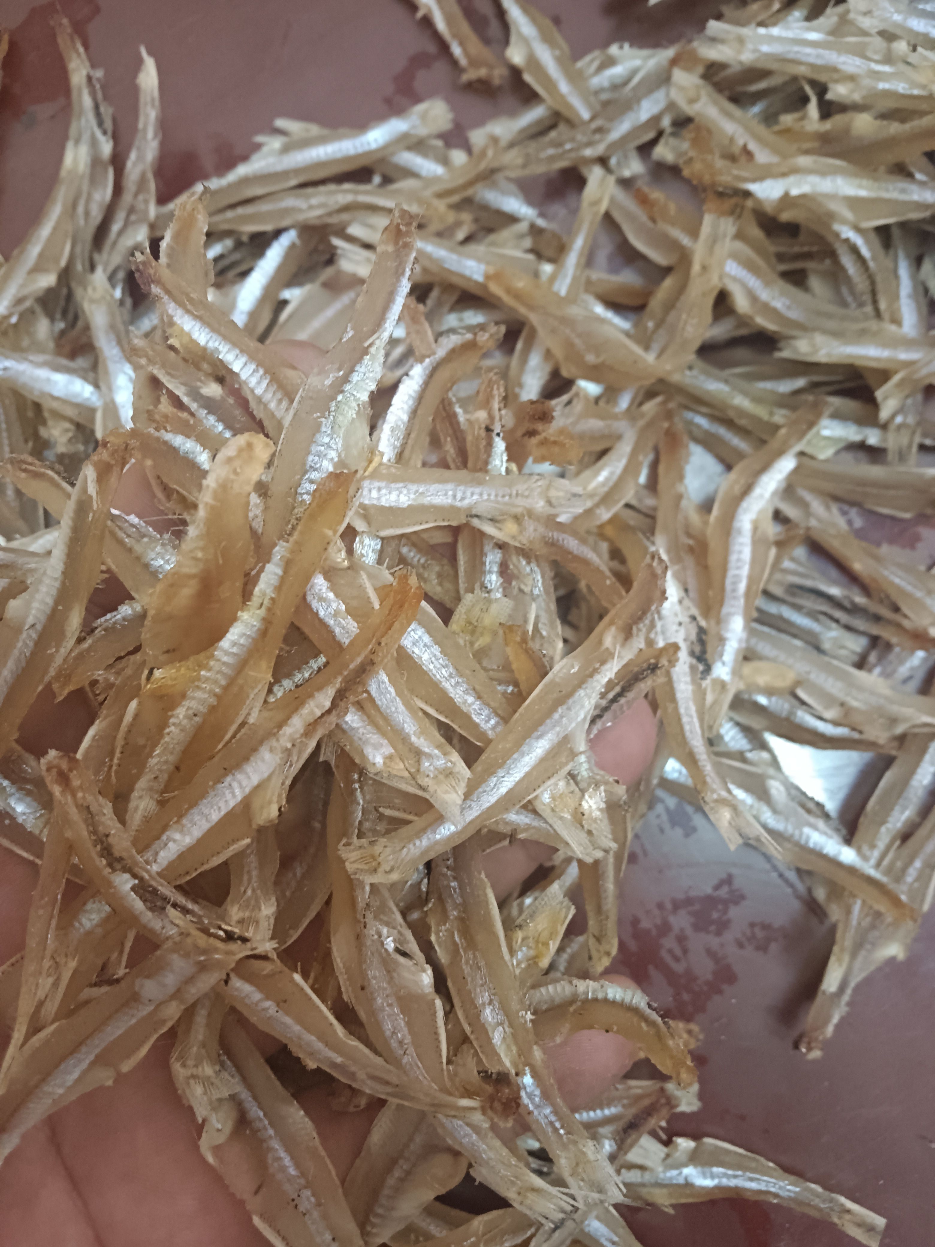 三去无盐足干白帆鱼干