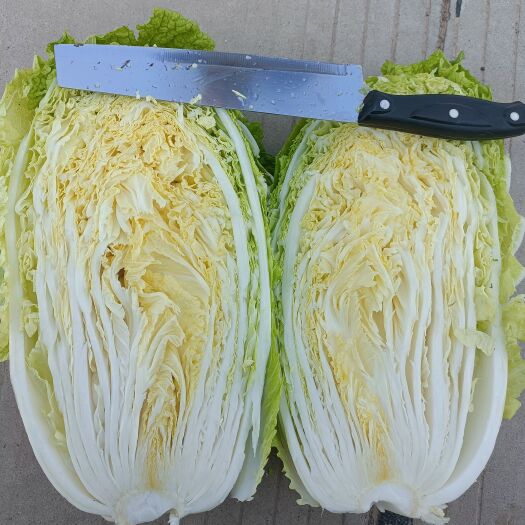 白菜