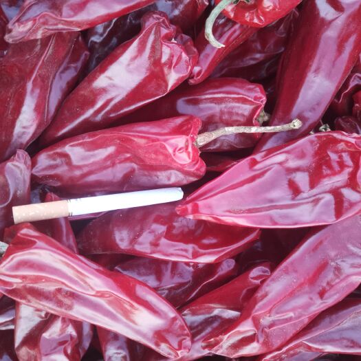 开鲁县大量供应北京红干椒