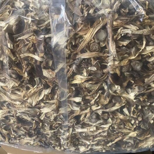 成都鹿茸茹