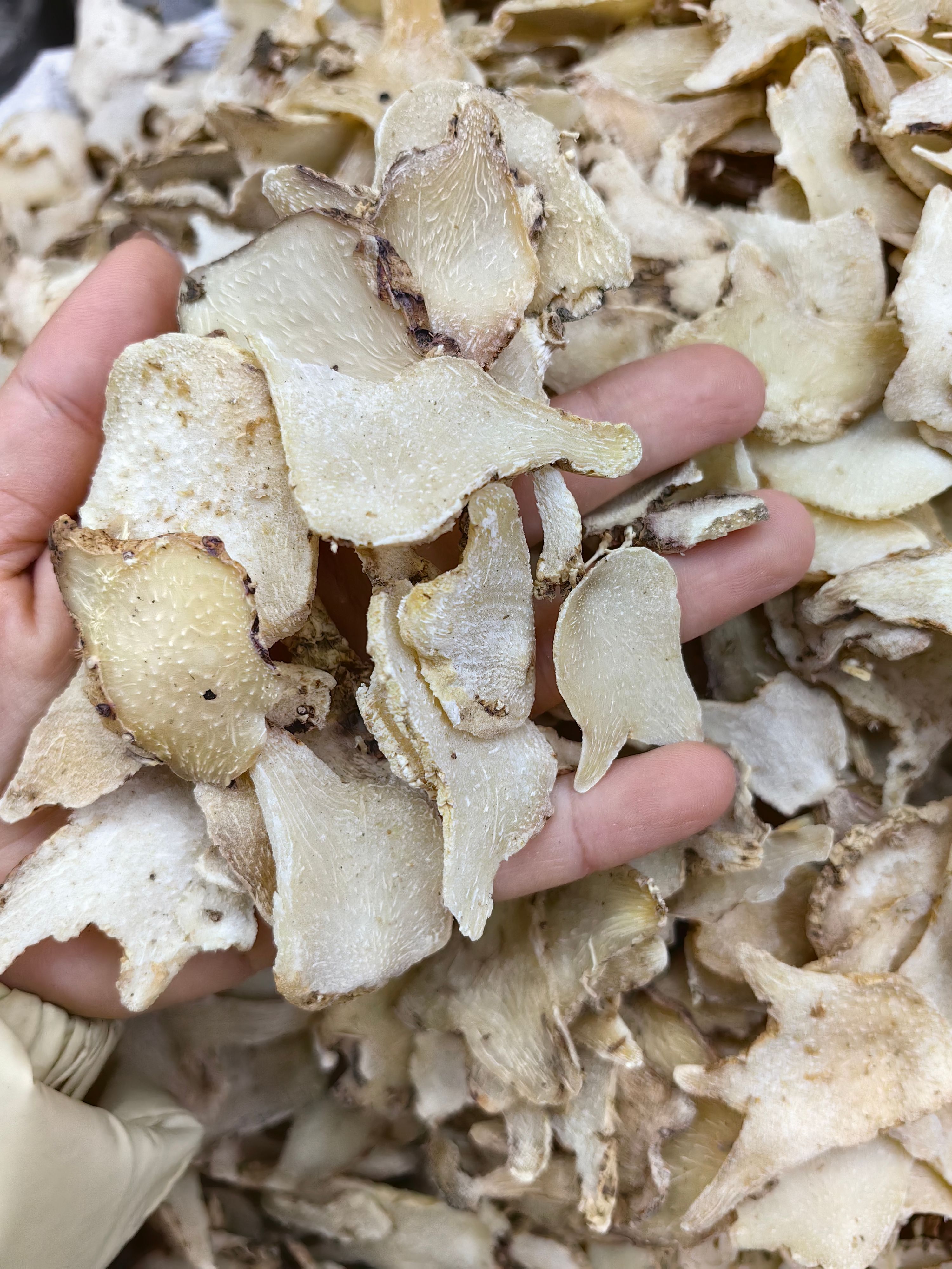 白及  白芨 正品无硫白芨全杆货 规格齐全产地直销 可供批发