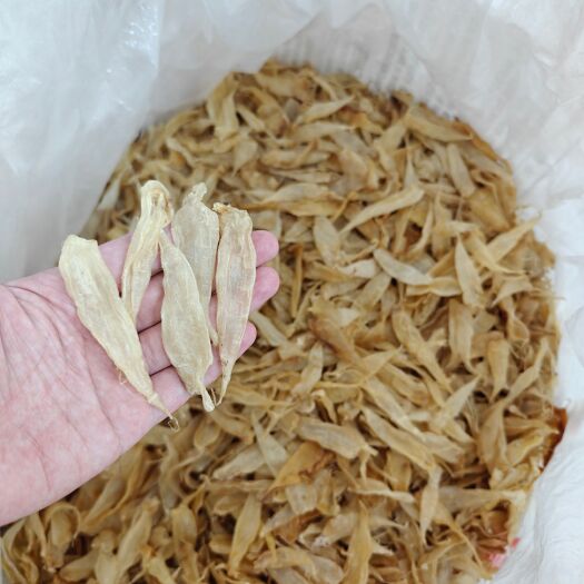 普宁市花胶 豆仁胶 400头胶质味道纯净口感好 潮汕地区的鱼胶之一