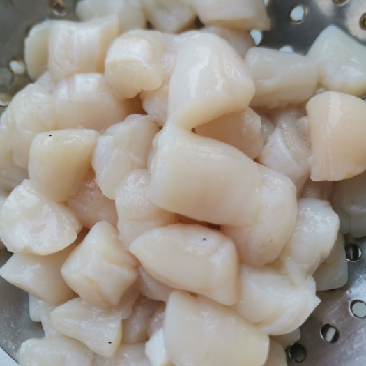 莱州市海鲜，扇贝