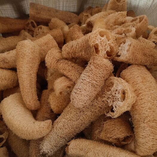 永福县药用丝瓜络边角料