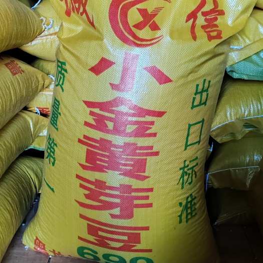 依安县东农690芽豆