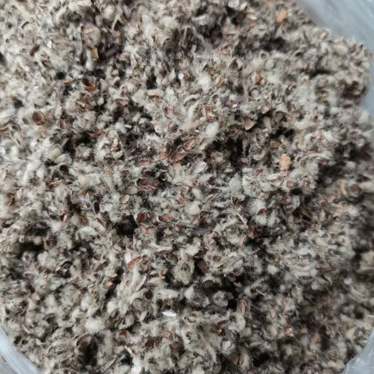 临澧县优质棉壳全年面向湖南岳阳益阳常德优价发货
