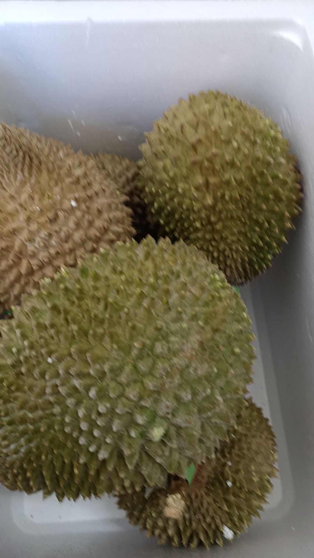 马来西亚原装猫山王D197榴莲，可谈大货