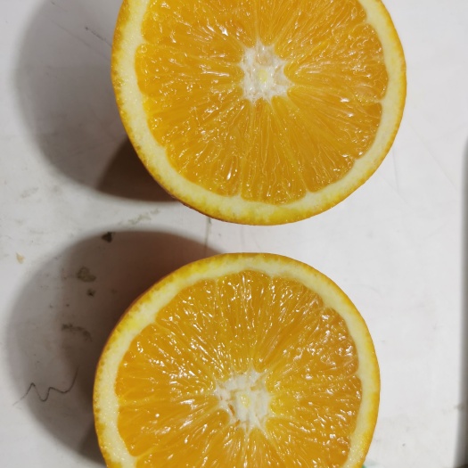 长春赣南脐橙