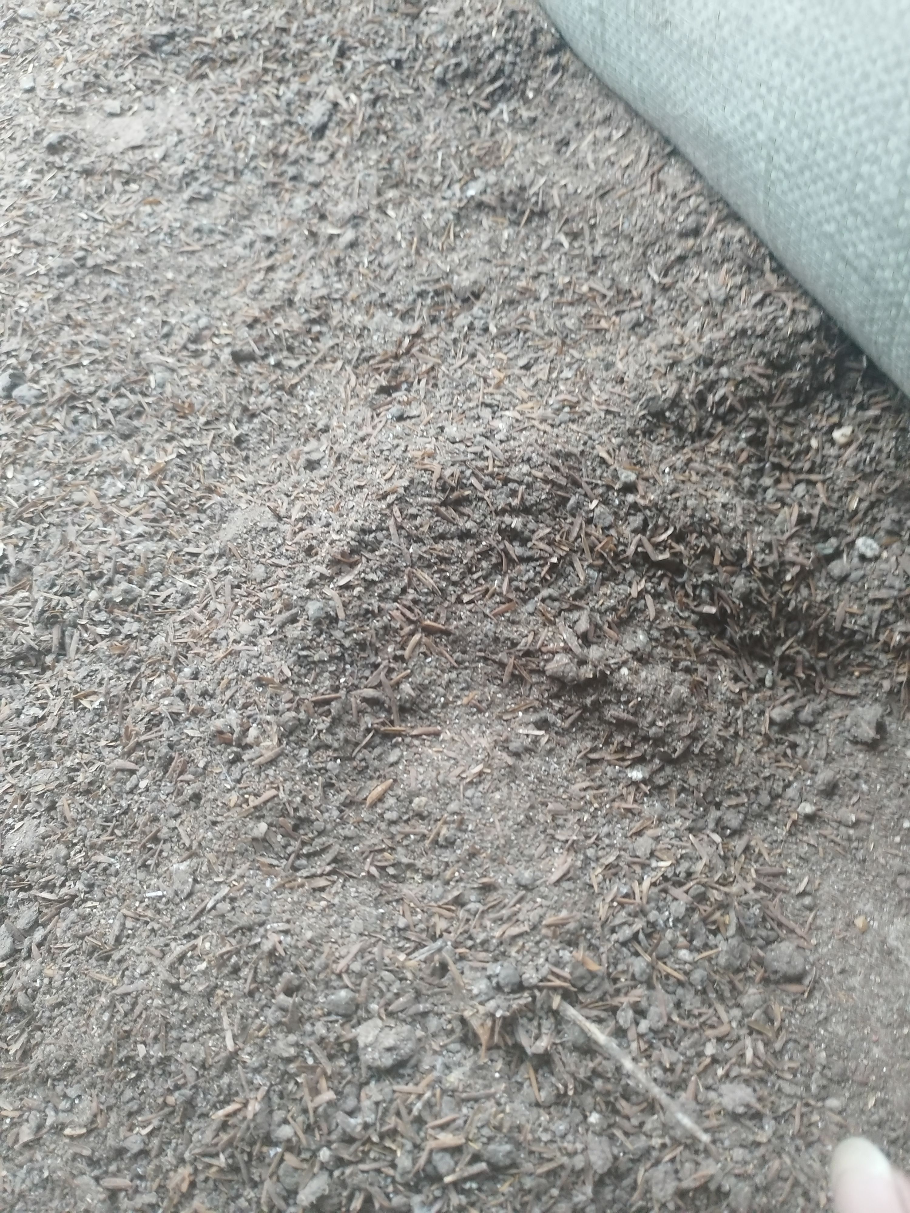 鸡粪有机肥，养殖场直发