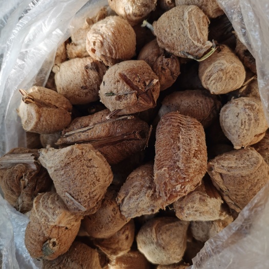 花垣县螳螂卵