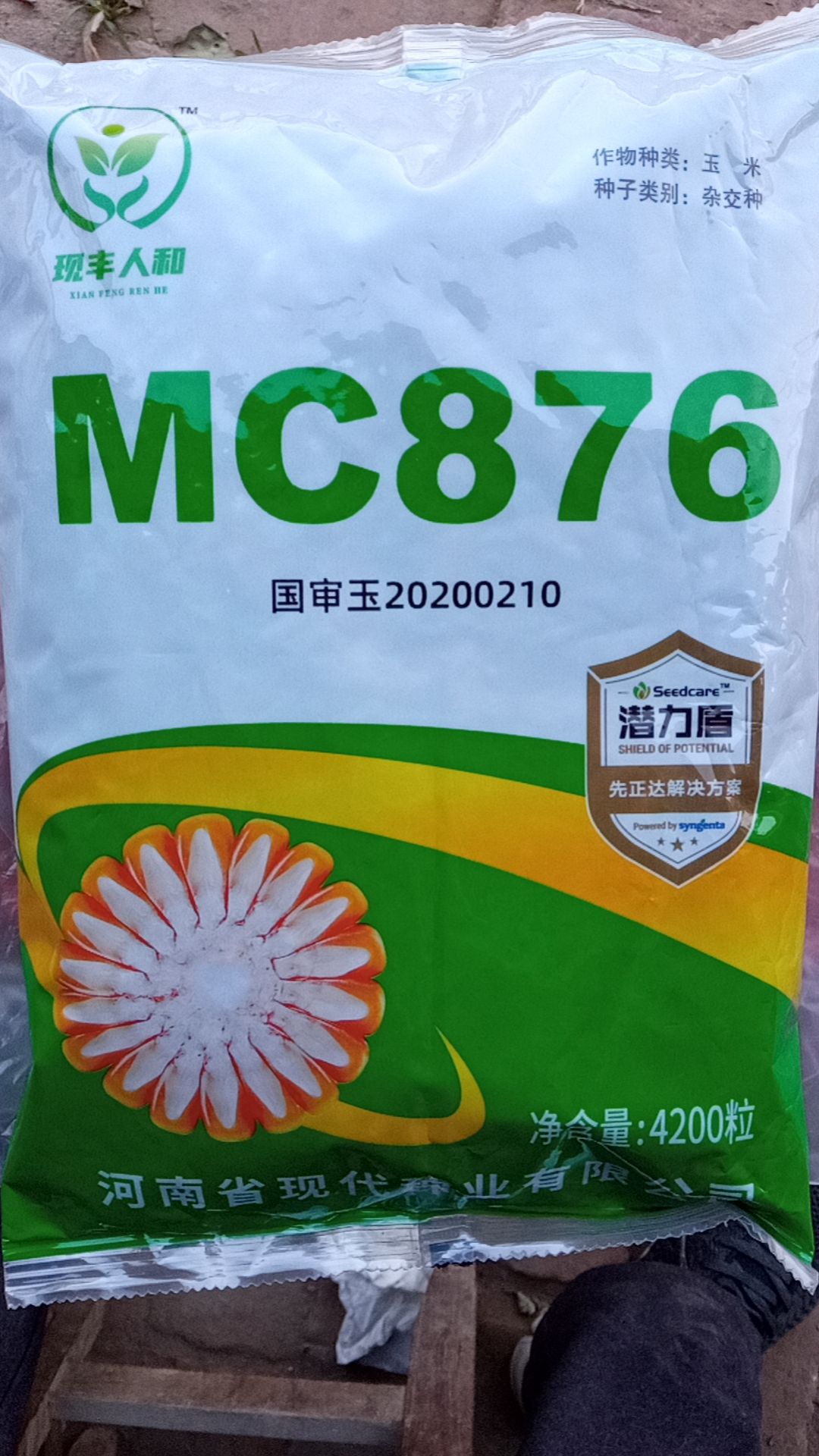 mc876玉米种