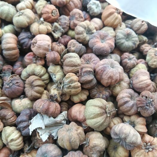 算盘子