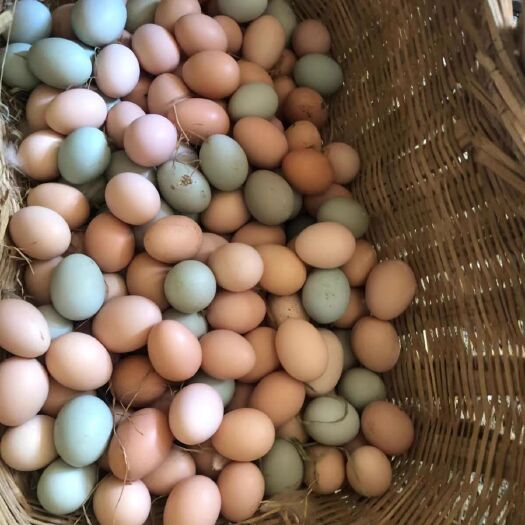 京山市高山生态养殖基地散养现捡土鸡蛋五谷虫草蛋