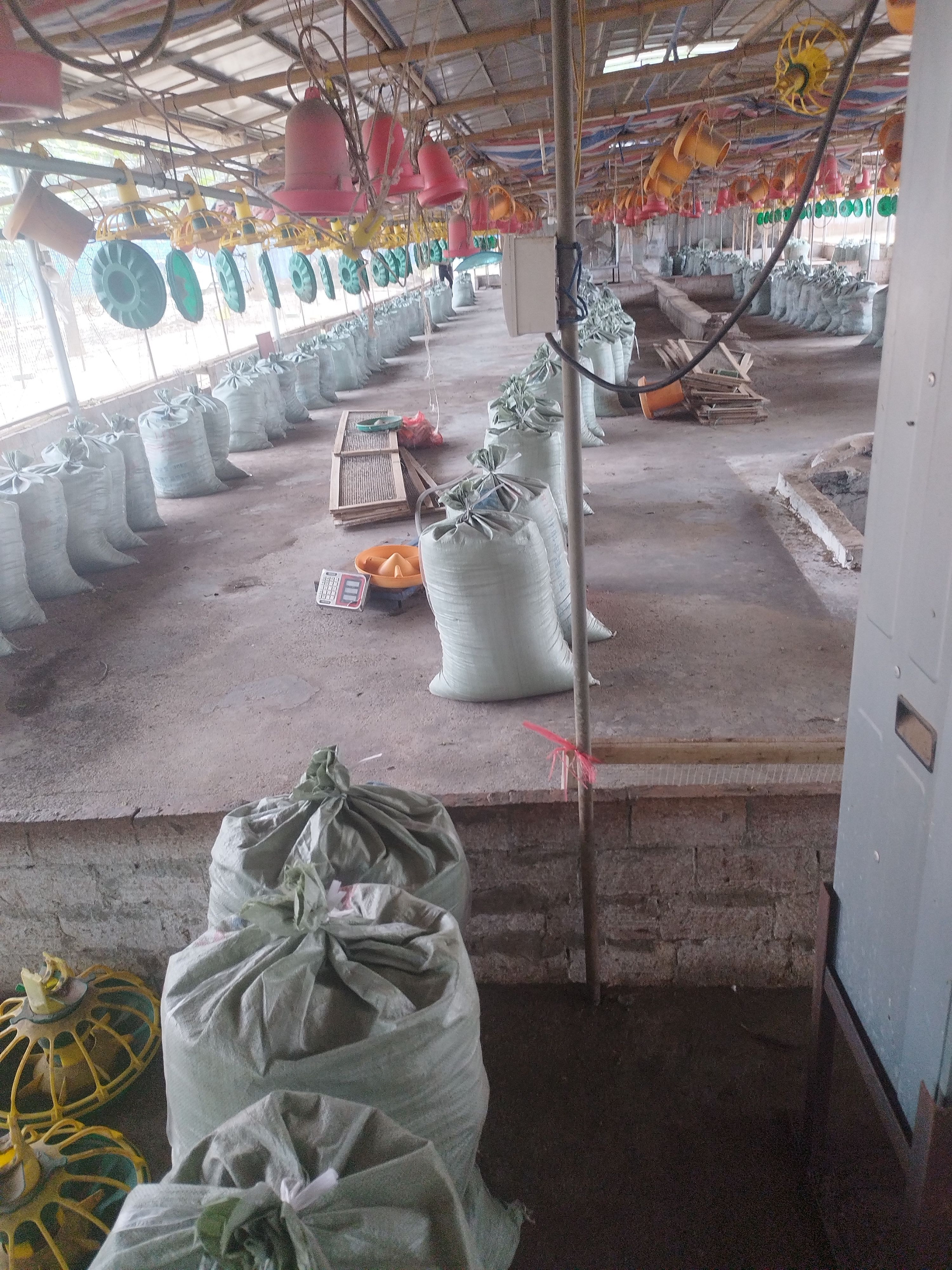 鸡粪有机肥，养殖场直发