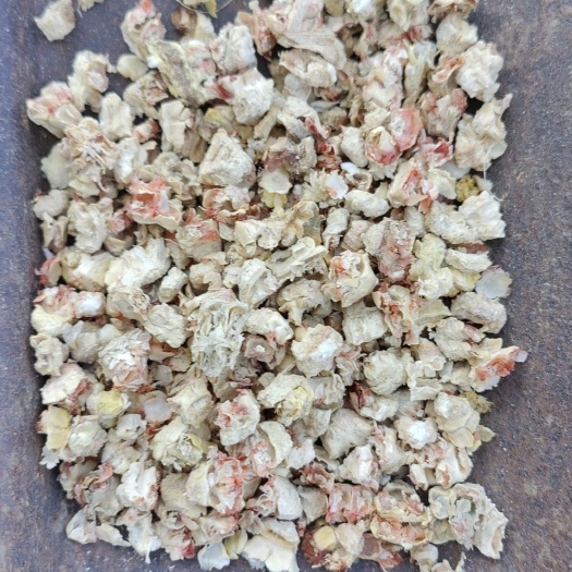 优质玉米芯常年面向广东惠州梅州潮州优价发货