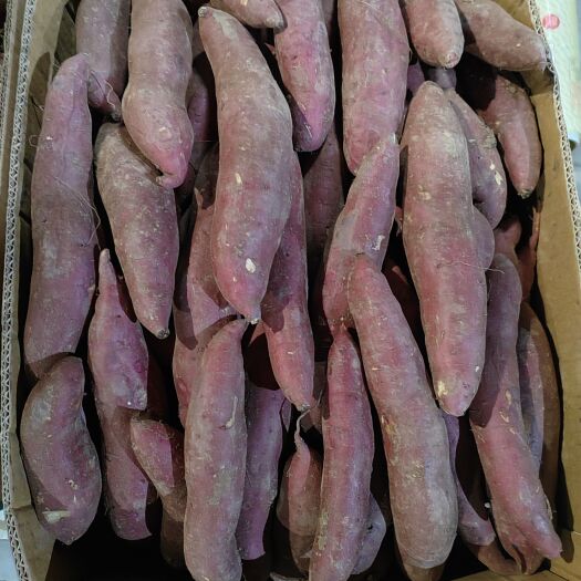 大连地瓜西瓜红新品种，比西瓜红好吃不是一个级别