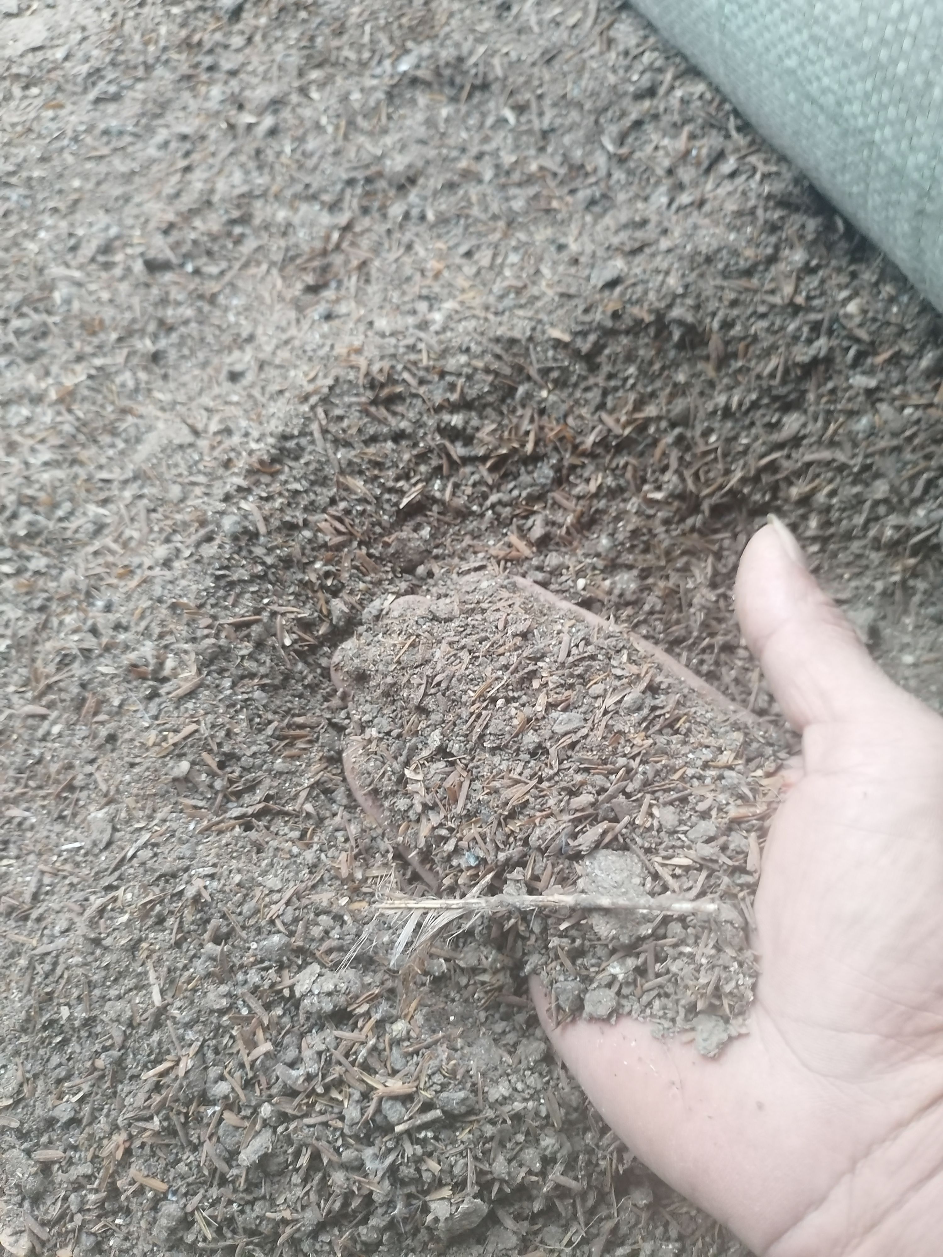 鸡粪有机肥，养殖场直发