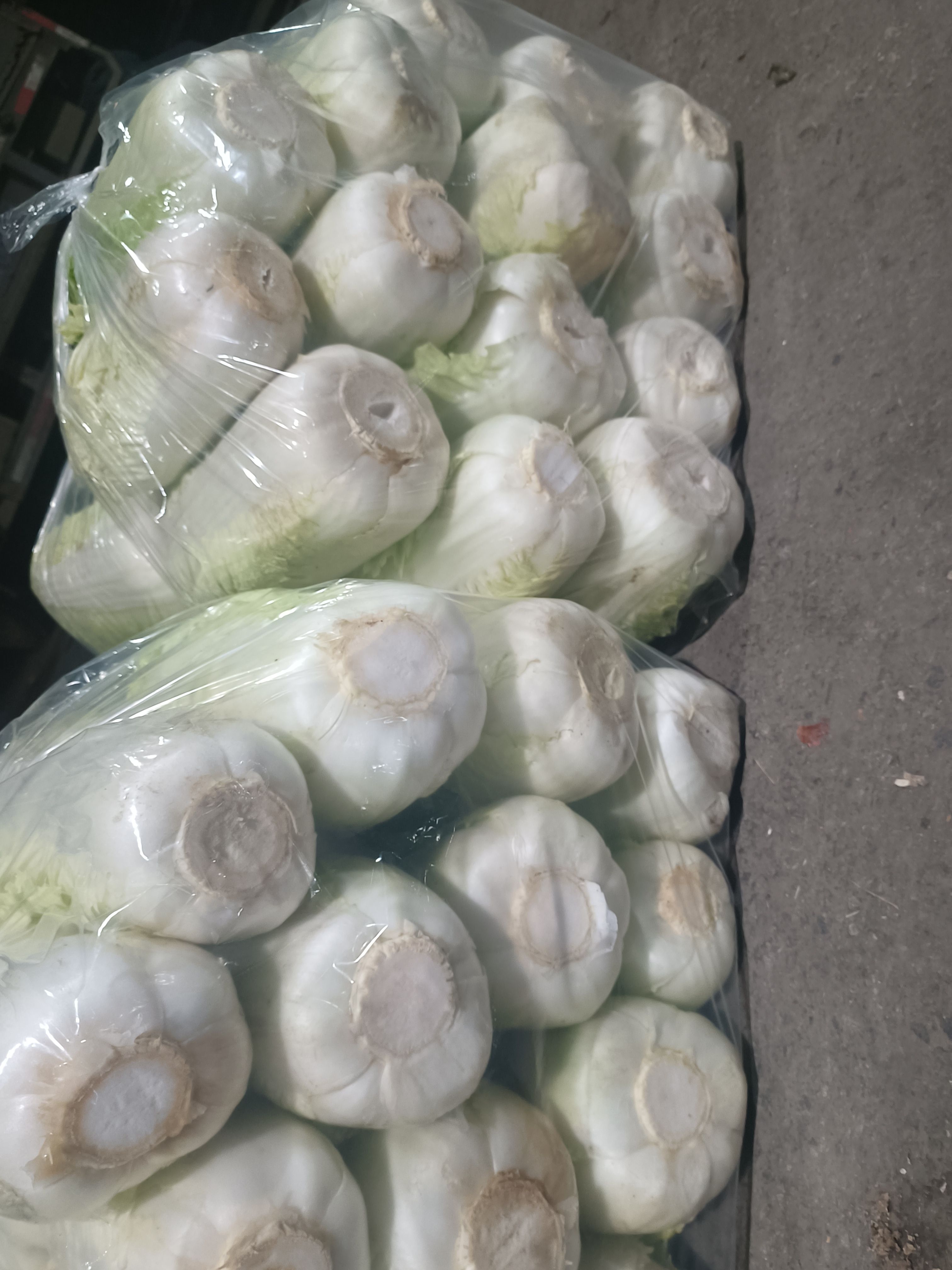 库存精品大白菜出库，全国发货