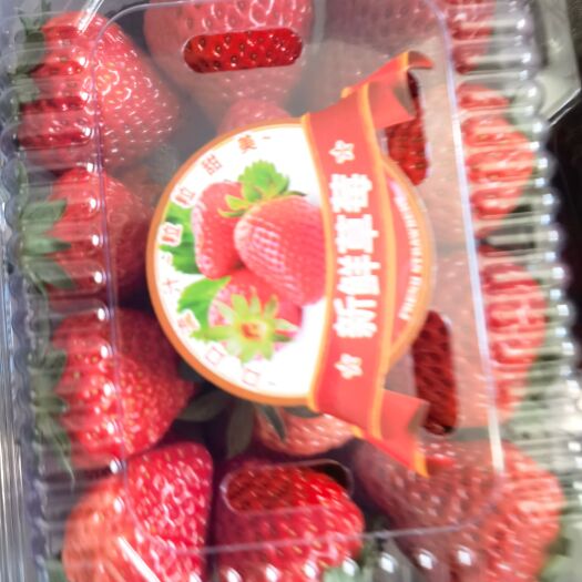 红颜草莓