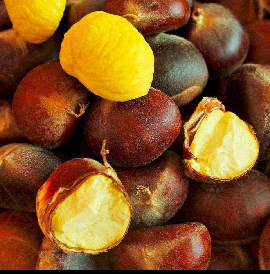 大别山2023年现采新鲜板栗刺球 野生带壳板栗毛球全白 水果