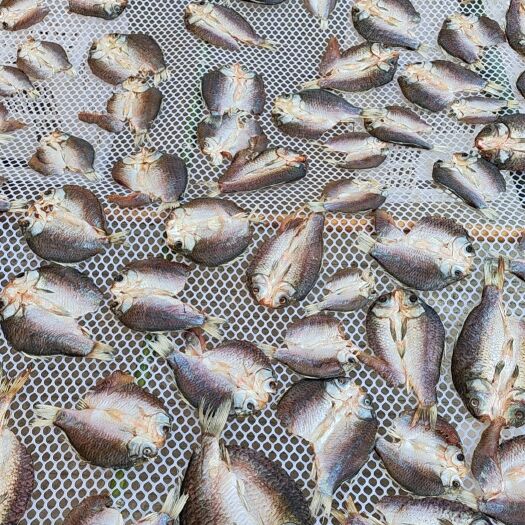 荆州风干鲫鱼