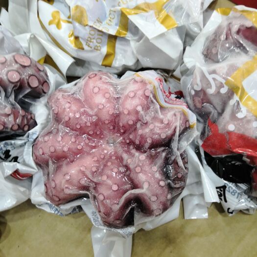 青岛章鱼