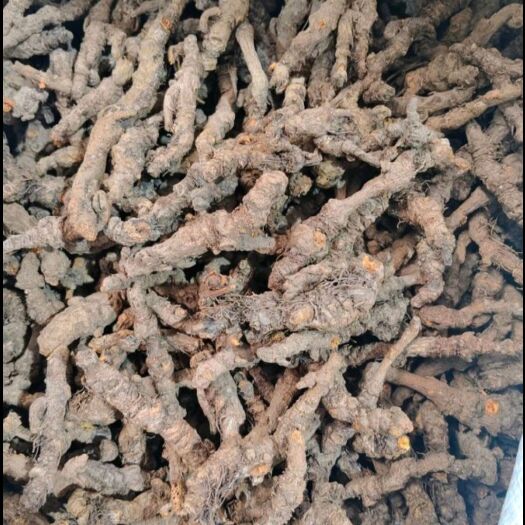 宁强县黄连，新货黄连精选统货，干货烧毛，根茎粗壮，无杂质