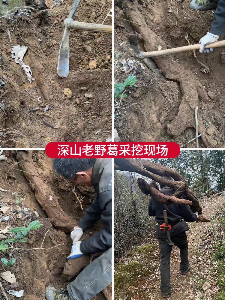葛根粉葛粉野生纯正湖北特产天然葛粉农家柴葛粉正品