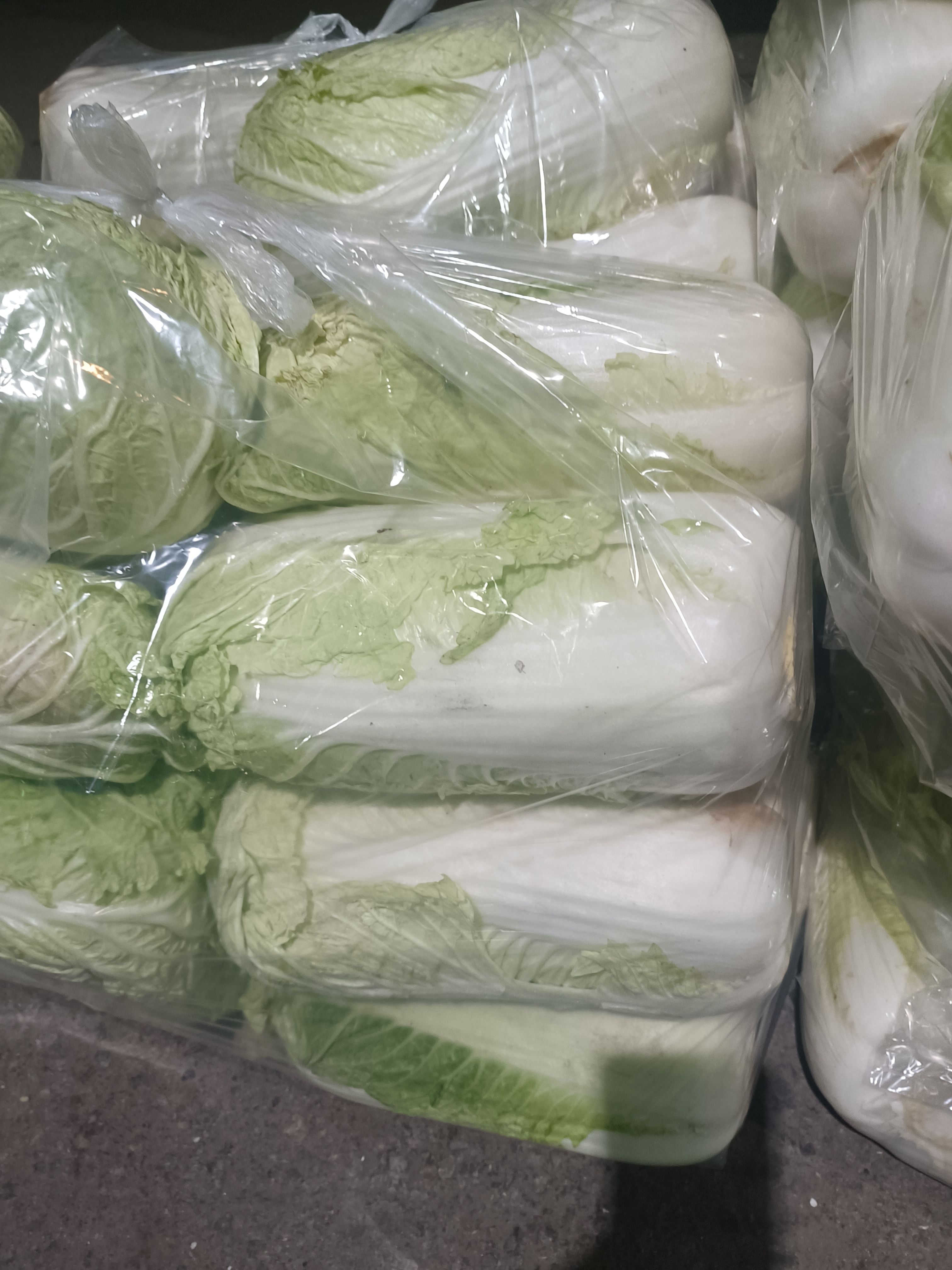 库存精品大白菜出库，全国发货