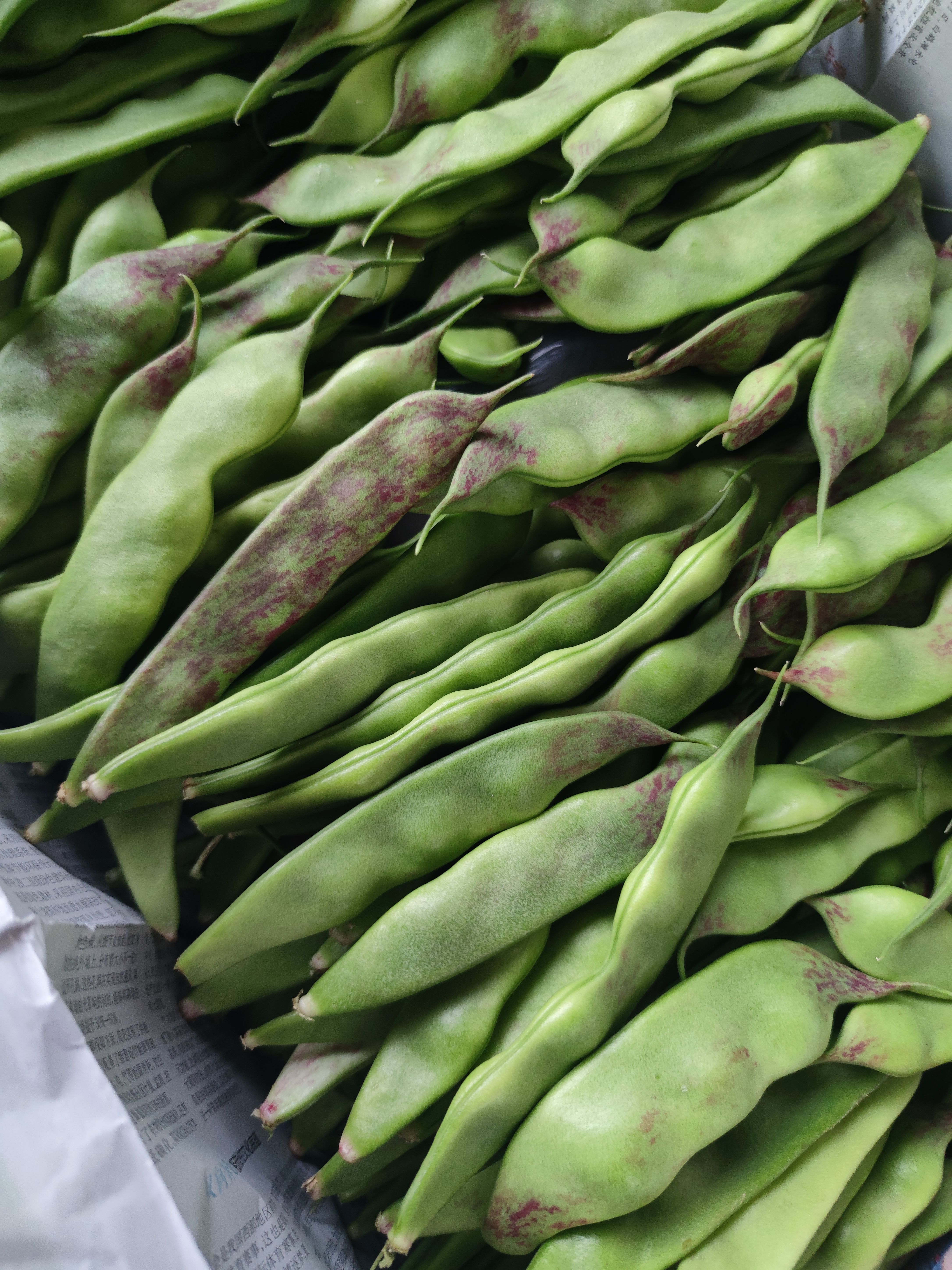 云南新鲜油豆角现摘一点红油豆九月青面豆角纯油豆当季蔬菜