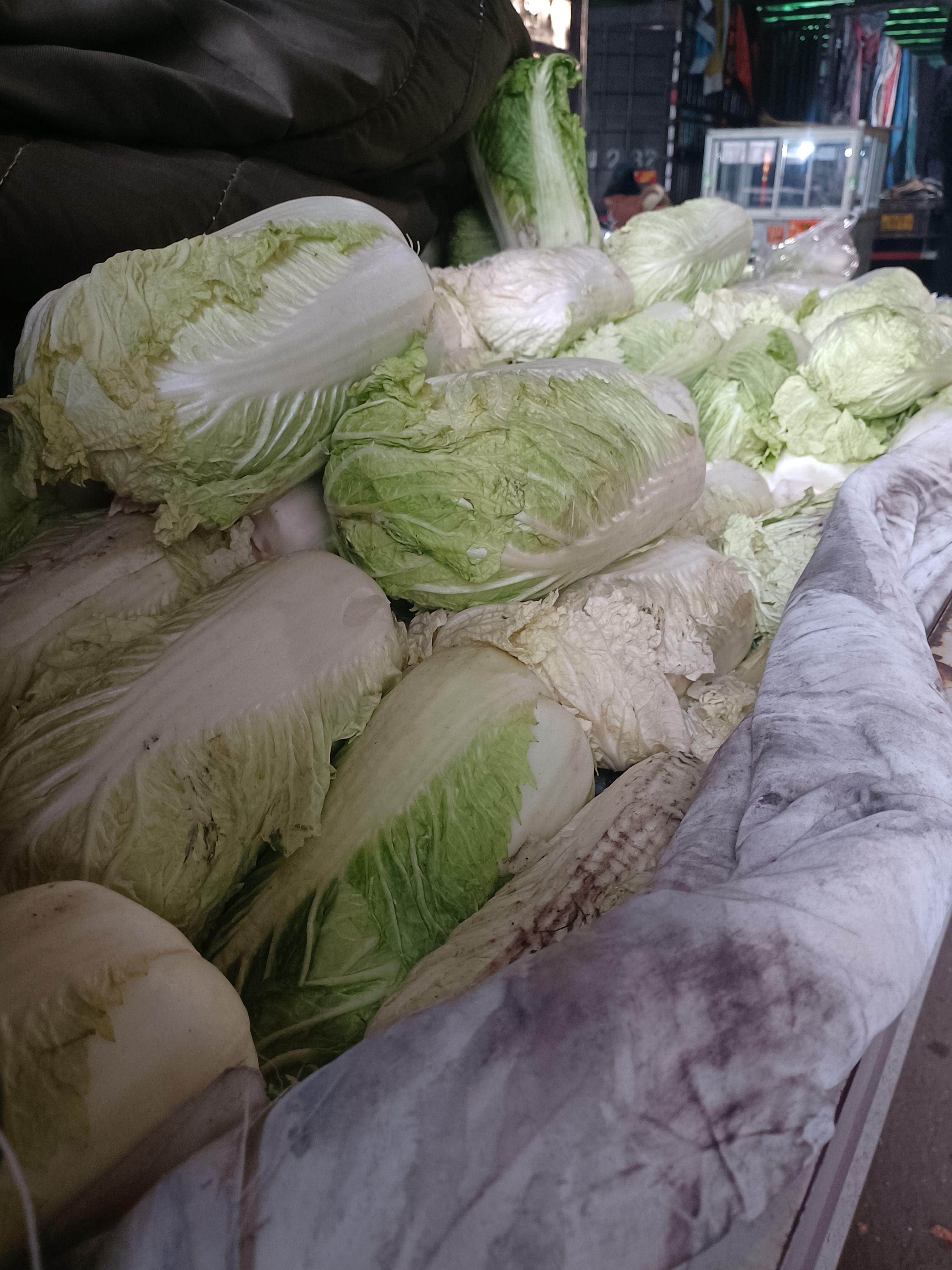 库存精品大白菜出库，全国发货