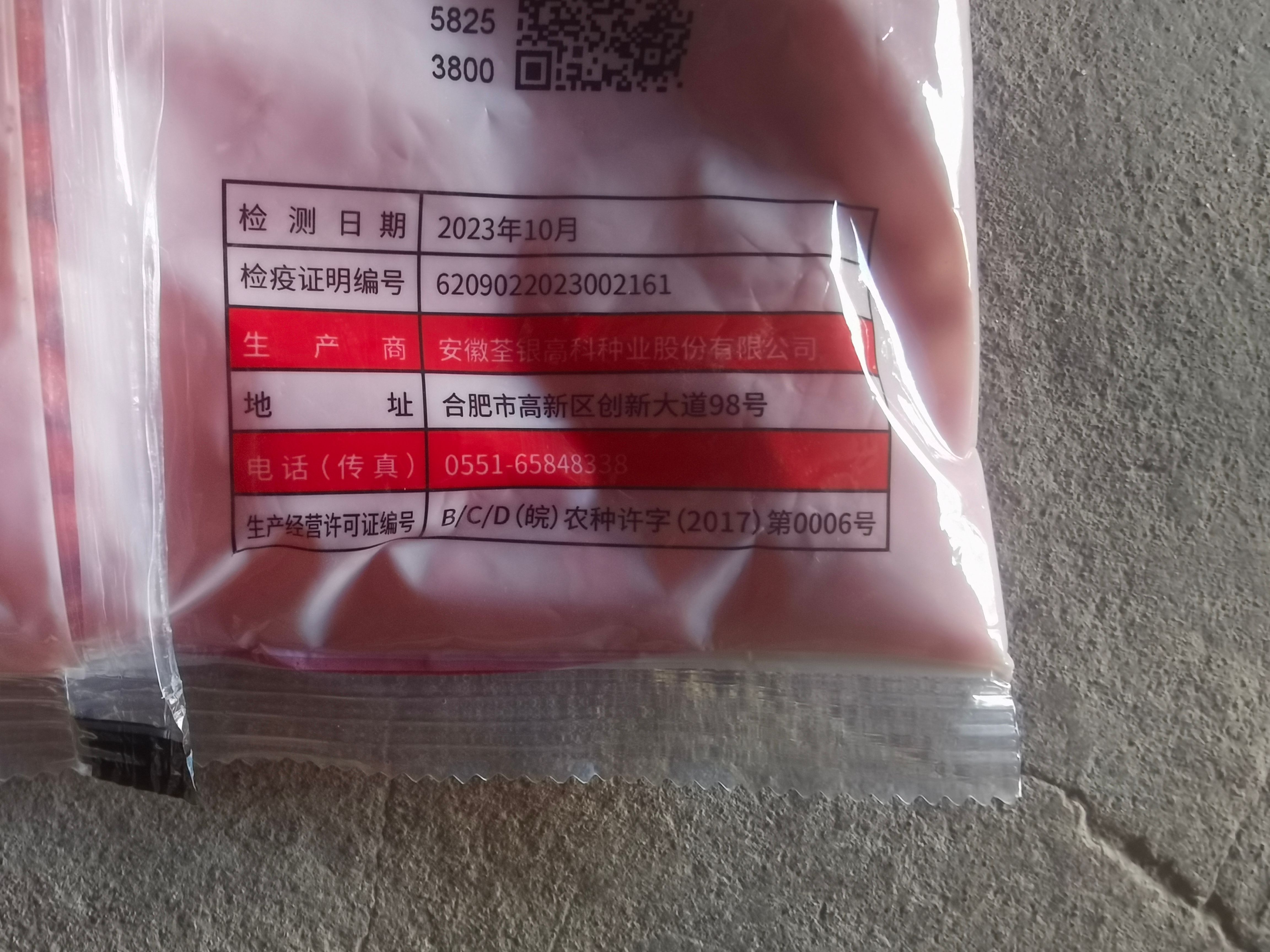 荃科782国审玉米种子大棒矮杆抗倒抗旱涝抗病