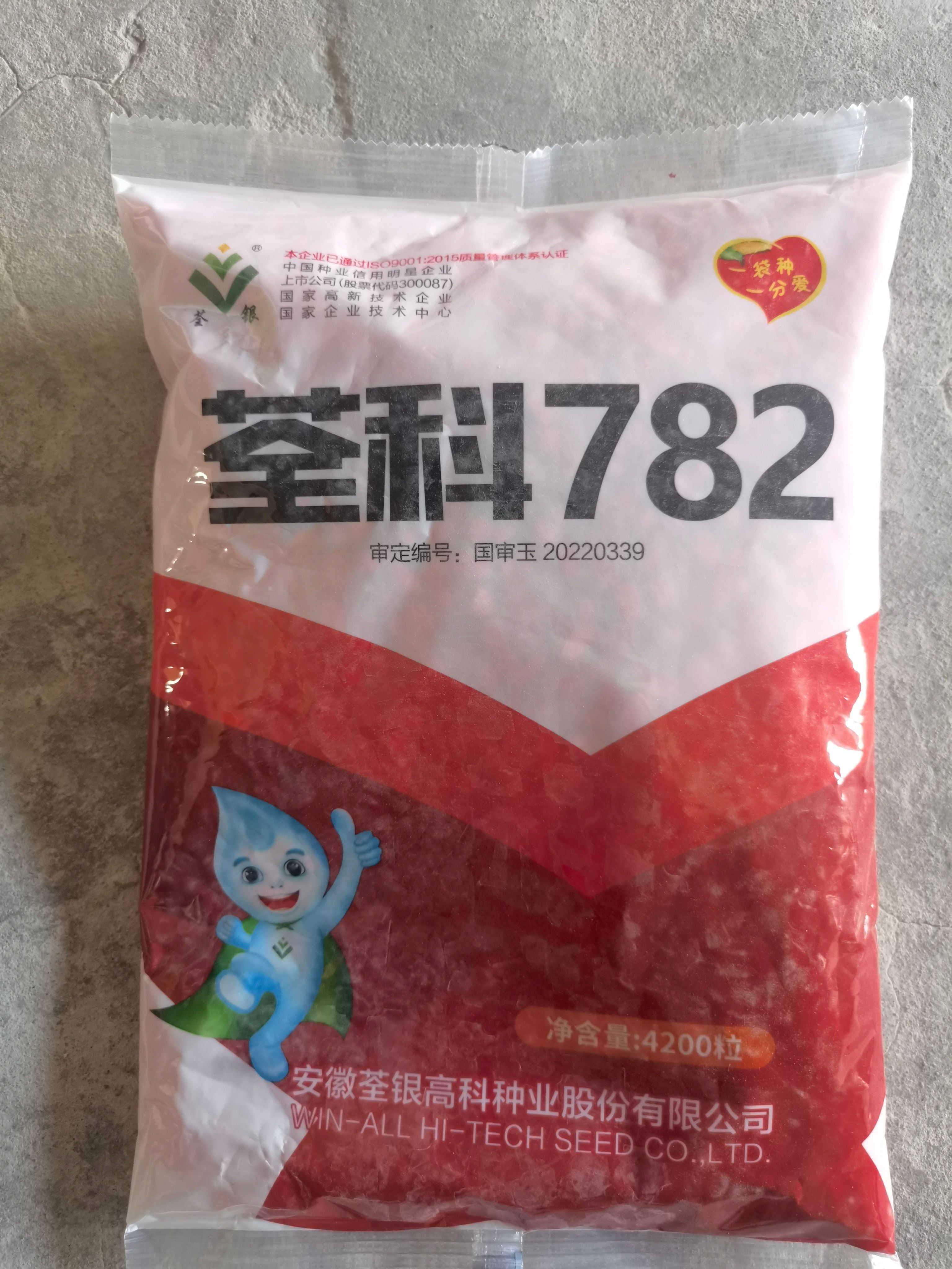 荃科782国审玉米种子大棒矮杆抗倒抗旱涝抗病