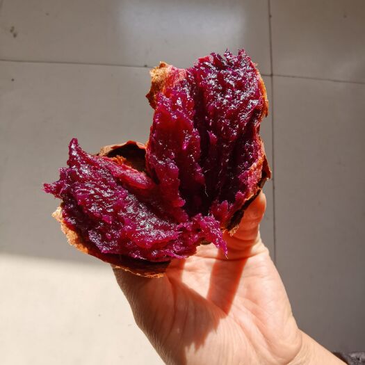 平阴县精品紫薯  泰紫一号  大量地窖存货