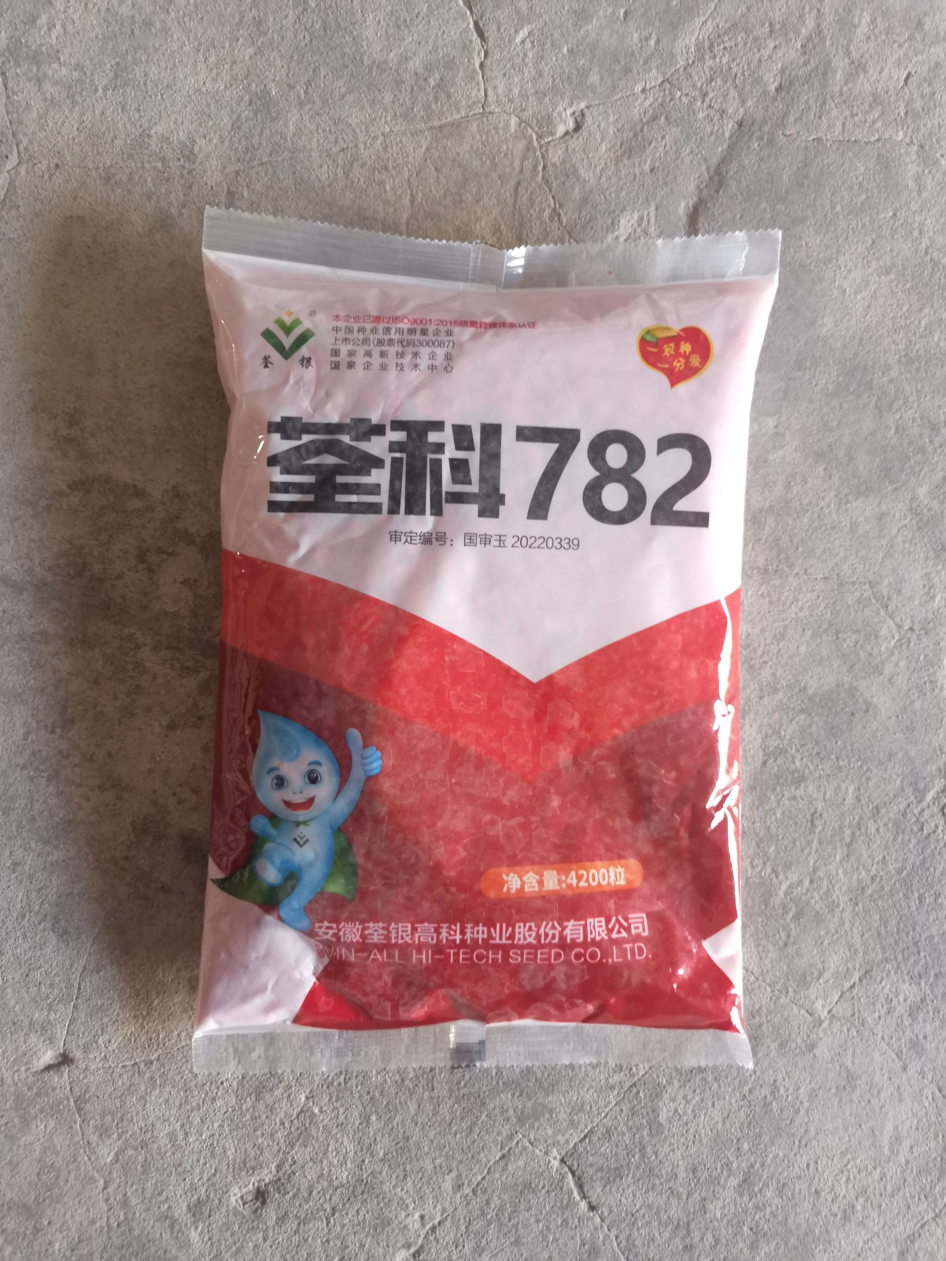 荃科782国审玉米种子大棒矮杆抗倒抗旱涝抗病
