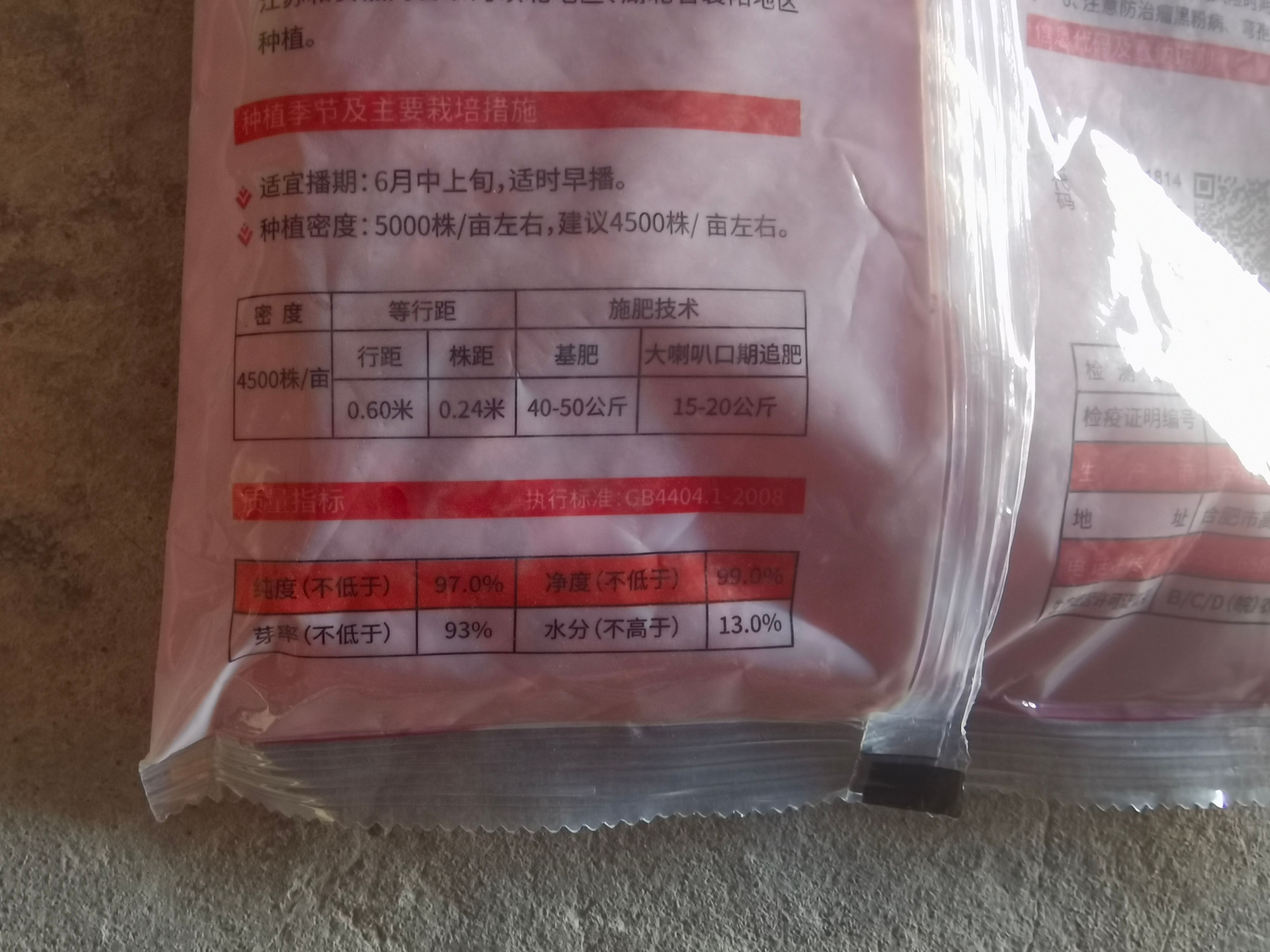 荃科782国审玉米种子大棒矮杆抗倒抗旱涝抗病