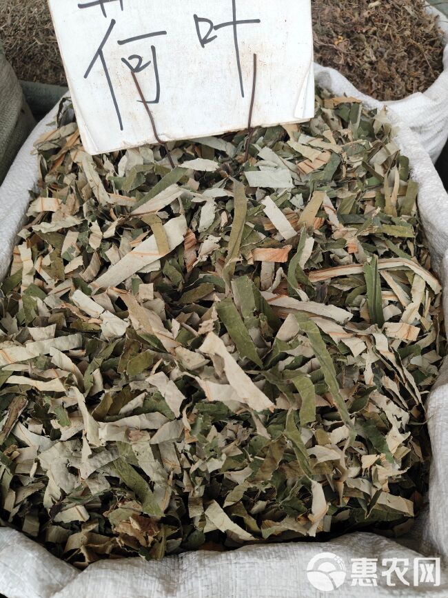 中草药干货荷叶茶荷叶别名莲花茎莲茎量大从优