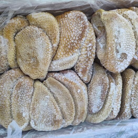 沈阳金钱肚  品质好 出成高