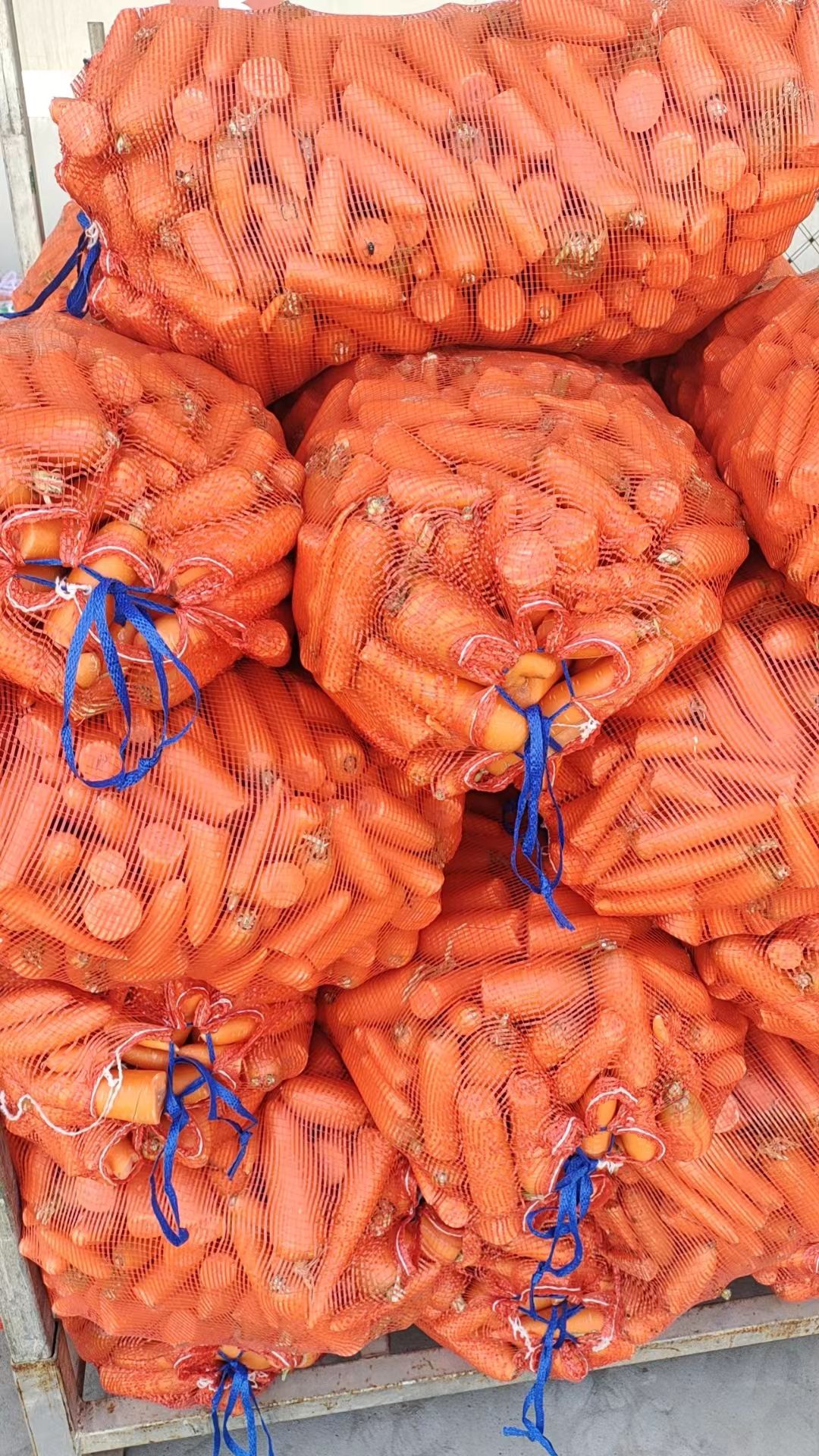 胡萝卜渣加工厂，养殖场