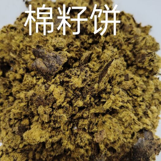 石家庄棉饼
